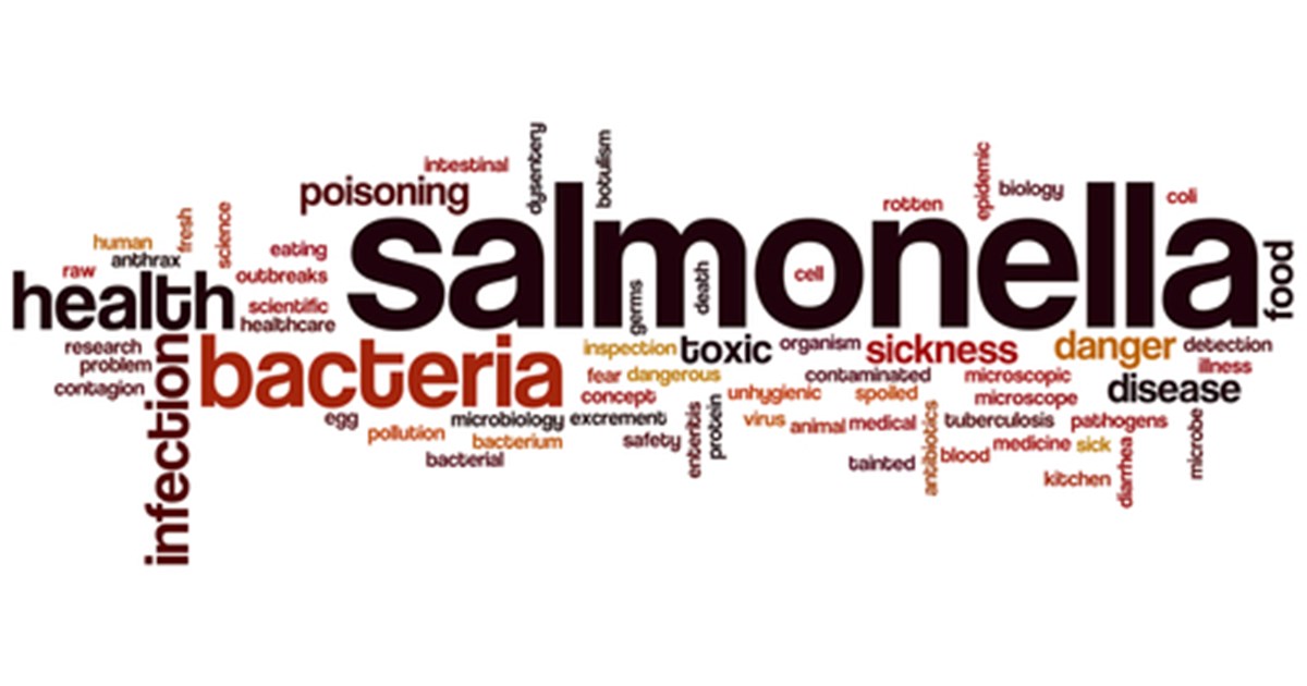Picture of food poisoning word cloud
