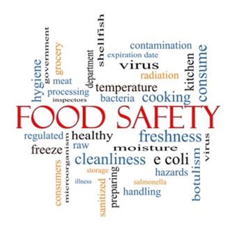 Picture of food safety word cloud