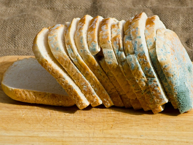 Picture of mouldy bread