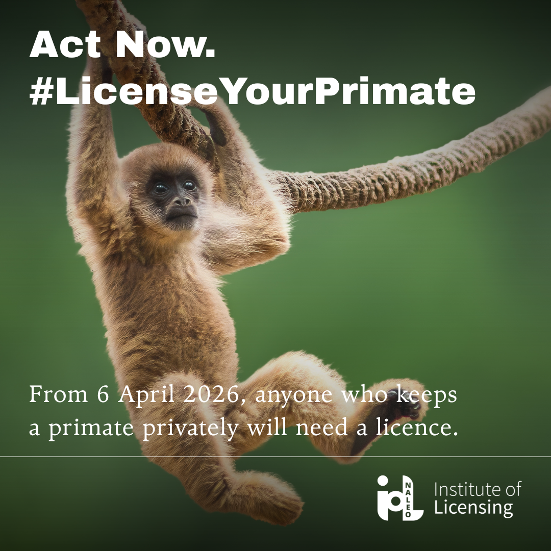 Graphic stating "Act Now. #LicenseYourPrimate" with a monkey swinging from a rope